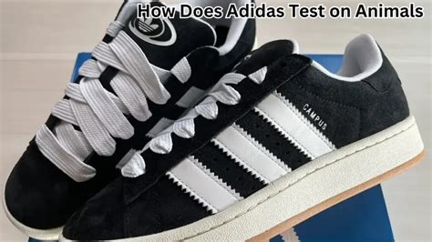 does adidas test on animals|how ethical is adidas.